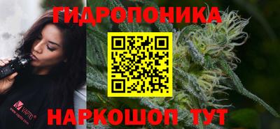 стафф Ивантеевка