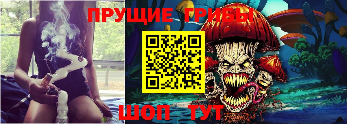 Галлюциногенные грибы GOLDEN TEACHER Азнакаево