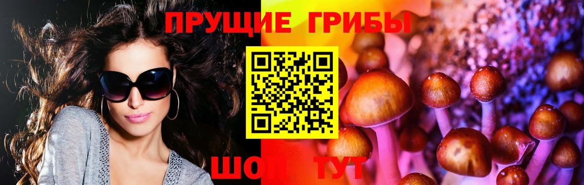 Галлюциногенные грибы прущие грибы  Галлюциногенные грибы Magic Shrooms  Вход с VPN  Азнакаево 
